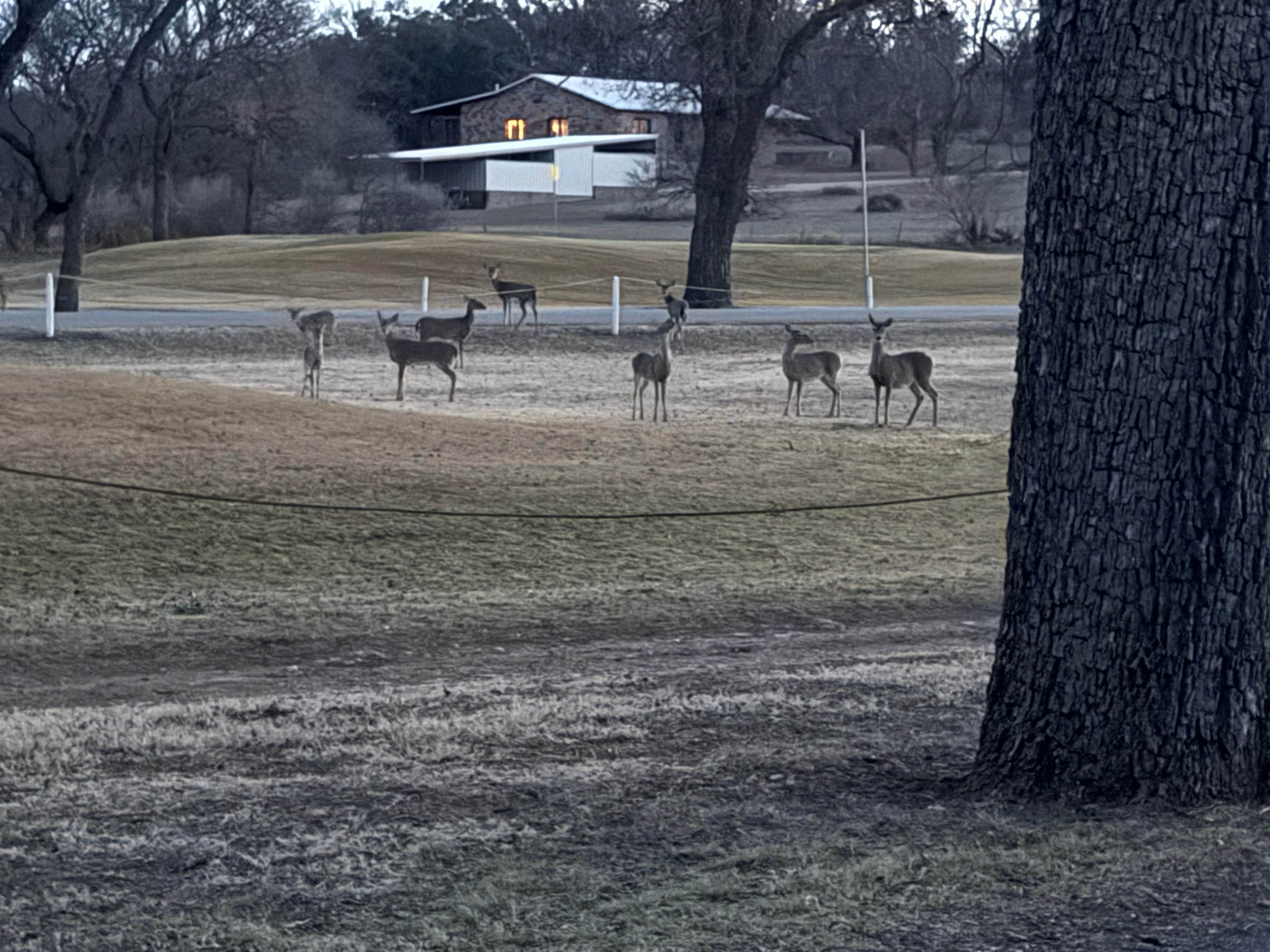 Camper-submitted photo at Fort Mason City Park near Kerrville, TX