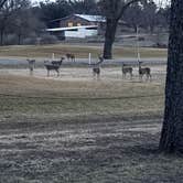 Review photo of Fort Mason City Park by clint C., January 30, 2026