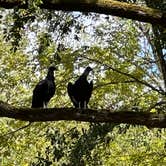 Review photo of Fort Parker State Park Campground by Kurt M., September 25, 2026