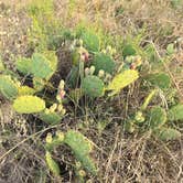 Review photo of Fort Richardson State Park Hist. Site and Trailway by Jeanette W., July 16, 2024