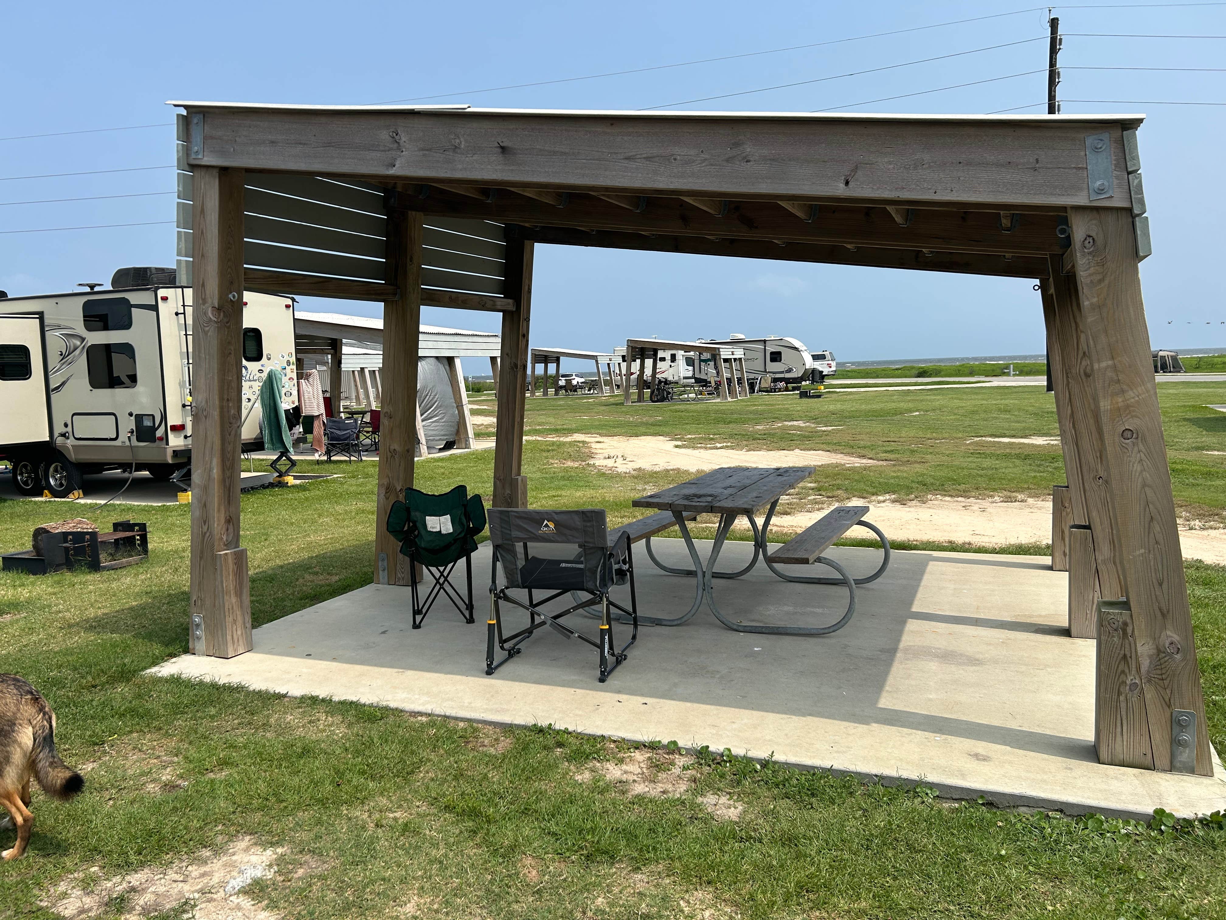Andrea P.'s photo of camping with pets at Galveston Island State Park Campground near Galveston, TX