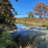 Review photo of Live Oak — Garner State Park by Stuart G., November 18, 2023