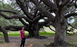 Stuart G.'s photo of camping with pets at Goose Island State Park Campground near Fulton, TX