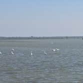 Review photo of Goose Island State Park Campground by Shawn S., April 29, 2026