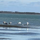 Review photo of Goose Island State Park Campground by James P., June 1, 2026