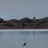 Review photo of Goose Island State Park Campground by Susan W., February 11, 2026