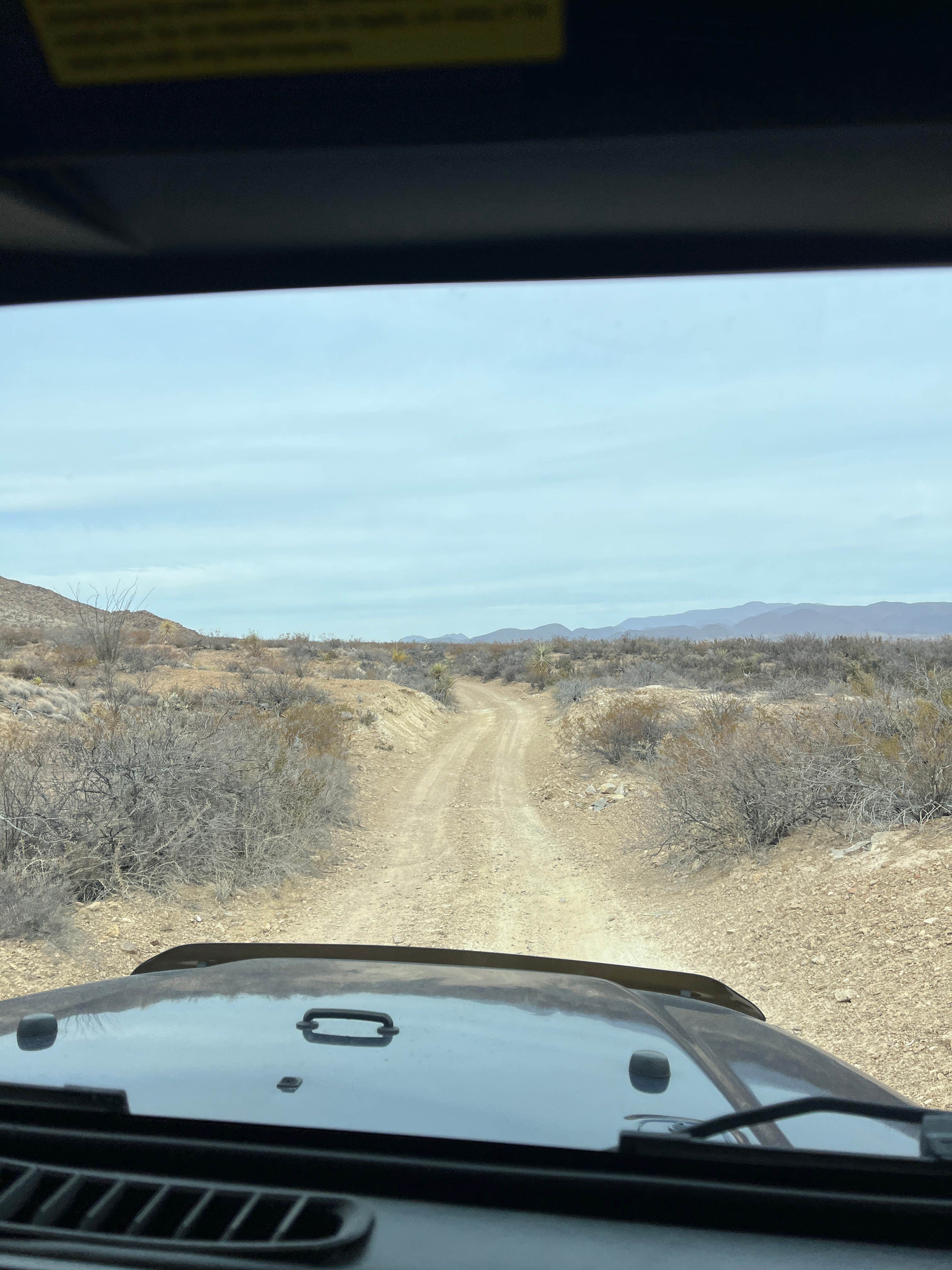 Camper submitted image from Grapevine Hills (GH-4 & GH-5) — Big Bend National Park - 5