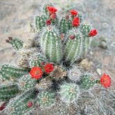 Review photo of Hueco Tanks State Park & Historic Site by David S., April 21, 2025