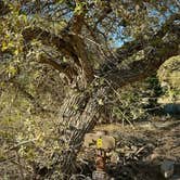 Review photo of Hueco Tanks State Park & Historic Site by David S., April 21, 2025