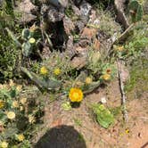 Review photo of Inks Lake State Park Campground by Lexi W., May 8, 2024