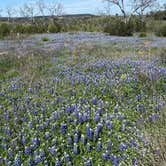 Review photo of Inks Lake State Park Campground by Stuart G., March 21, 2024