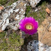 Review photo of Inks Lake State Park Campground by Lexi W., May 8, 2024