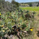 Review photo of Inks Lake State Park Campground by Lexi W., May 8, 2024