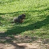 Review photo of Inks Lake State Park Campground by Red S., March 31, 2025