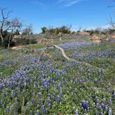 Review photo of Inks Lake State Park Campground by Stuart G., March 21, 2024