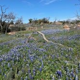Review photo of Inks Lake State Park by Stuart G., March 21, 2024