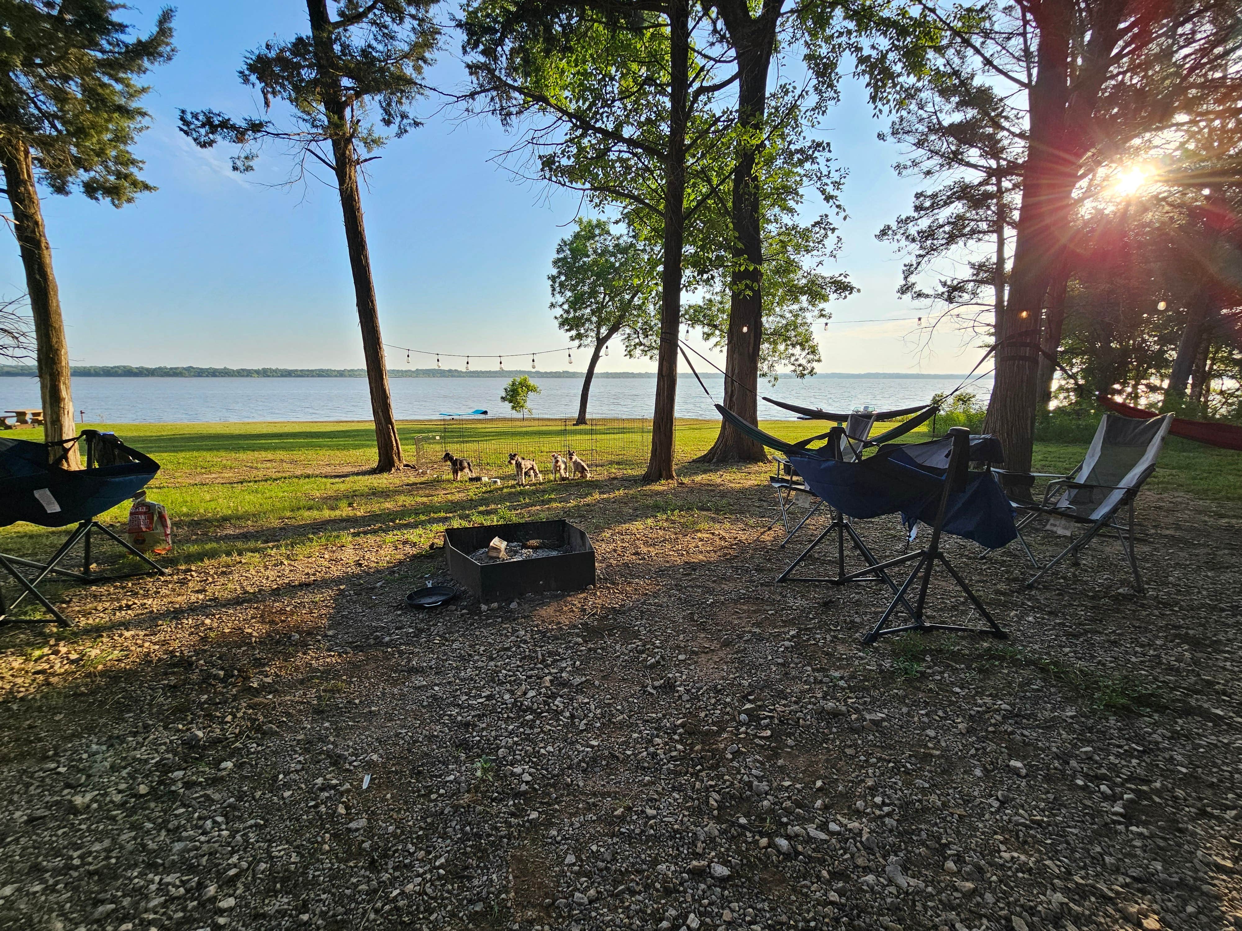 JANA R.'s photo of camping with pets at Juniper Point near Sherman, TX