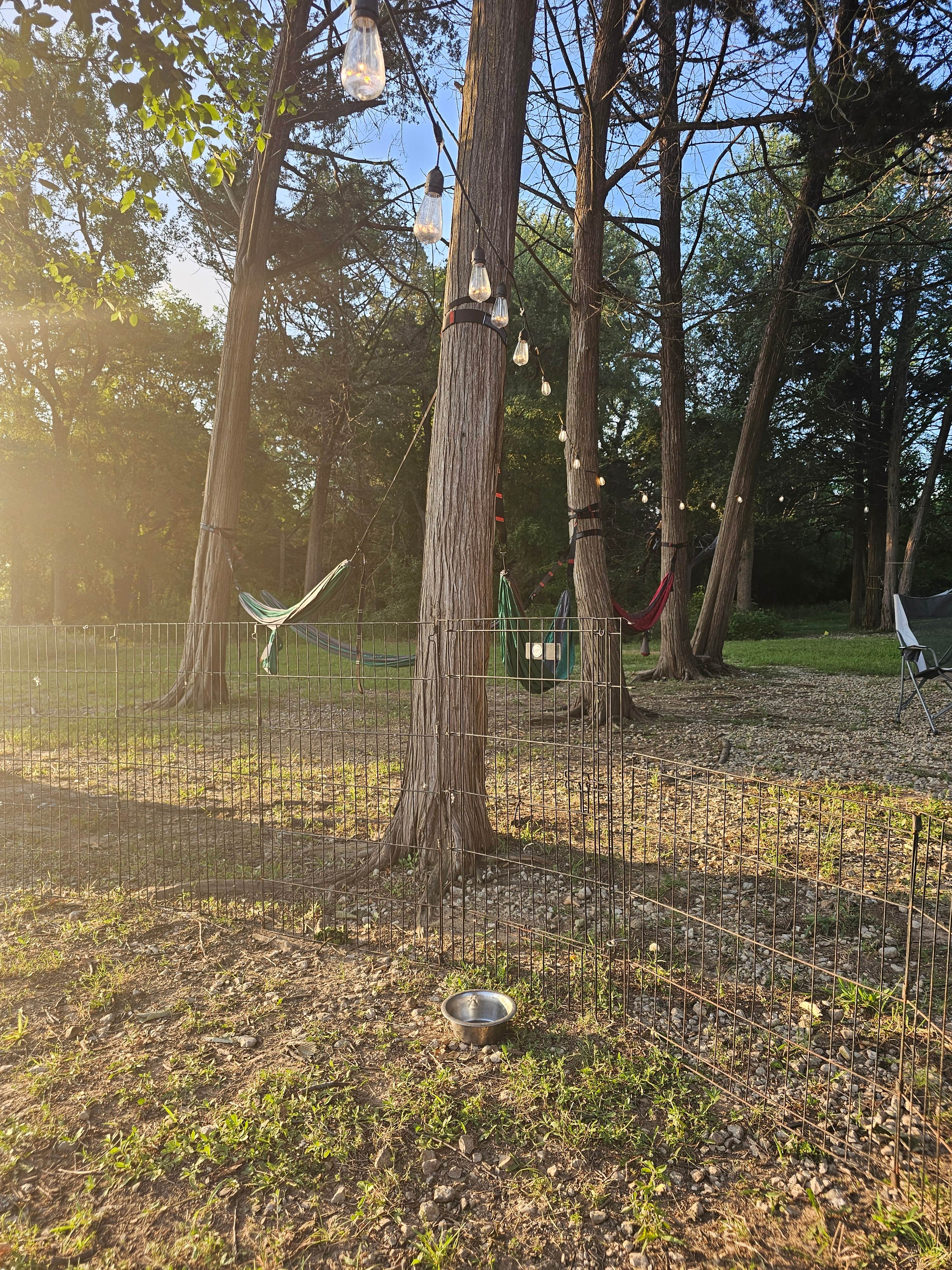Camper-submitted photo at Juniper Point near Lake Texoma
