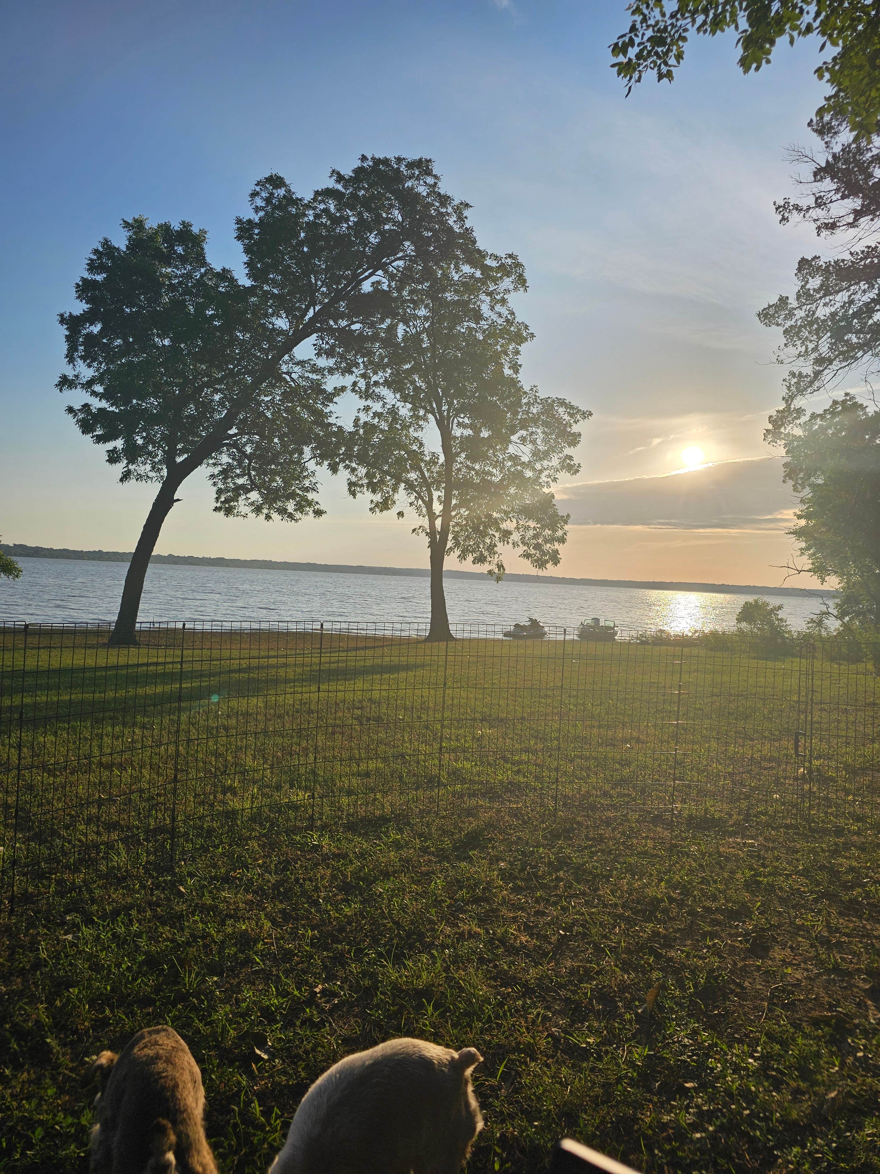 Camper-submitted photo at Juniper Point near Lake Texoma