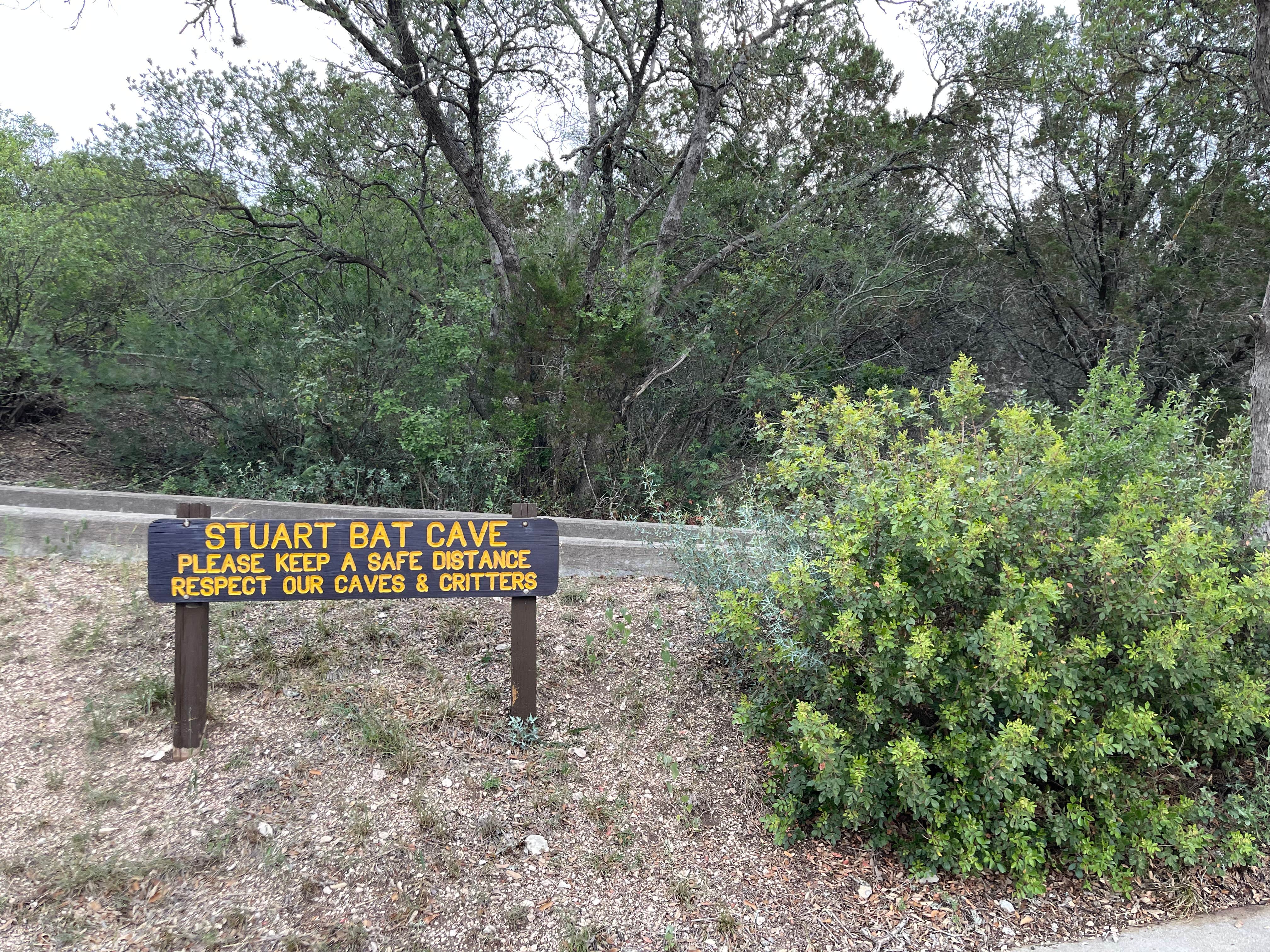 Camper-submitted photo at Kickapoo Cavern State Park Campground near Del Rio, TX