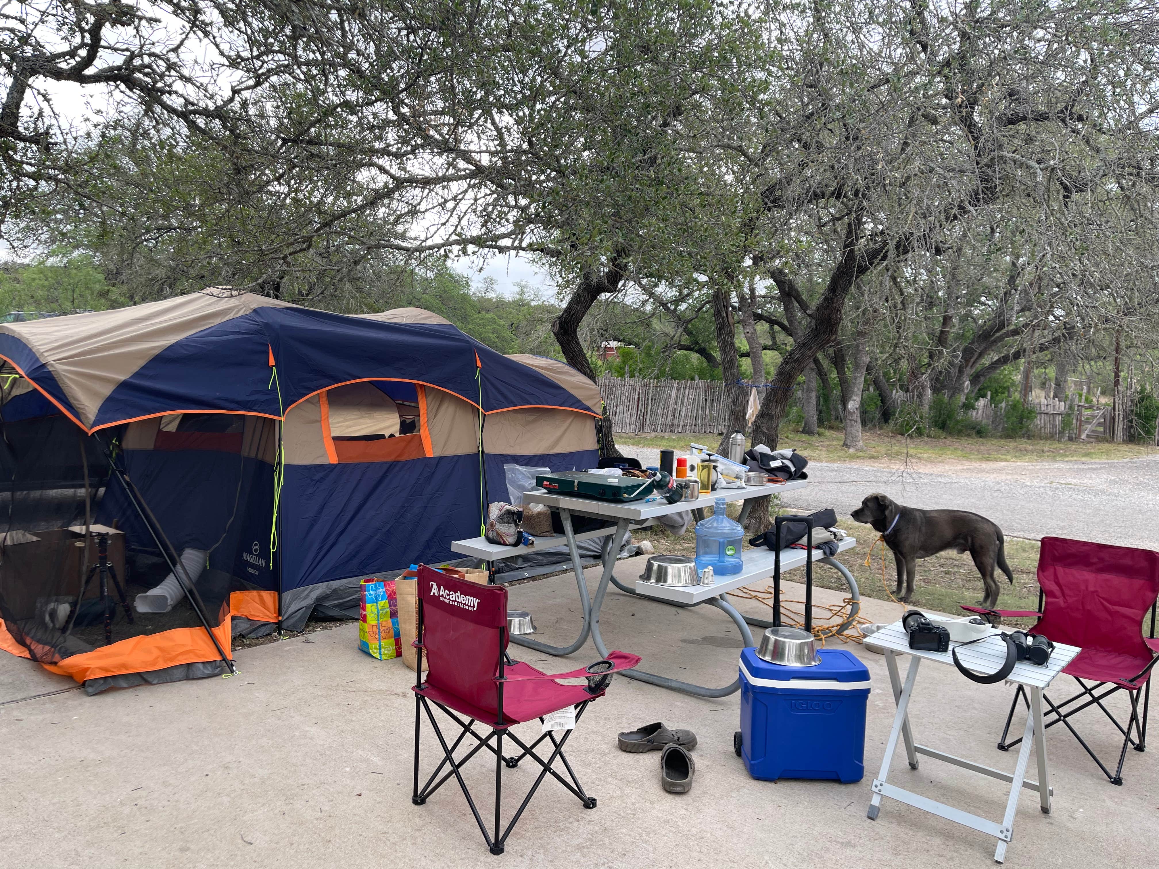 Cindy Y.'s photo of camping with pets at Kickapoo Cavern State Park Campground near Comstock, TX