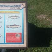 Review photo of Lake Brownwood State Park Campground by Michael G., October 19, 2026