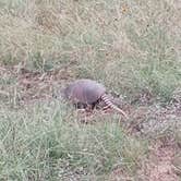 Review photo of Lake Brownwood State Park Campground by Andy M., May 21, 2026