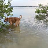 Review photo of Lake Brownwood State Park Campground by Jim P., September 11, 2026