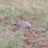 Review photo of Lake Brownwood State Park Campground by Andy M., May 21, 2026
