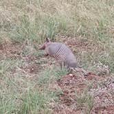 Review photo of Lake Brownwood State Park Campground by Andy M., May 21, 2026
