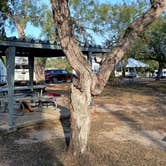 Review photo of Lake Corpus Christi State Park Campground by Les G., October 31, 2024