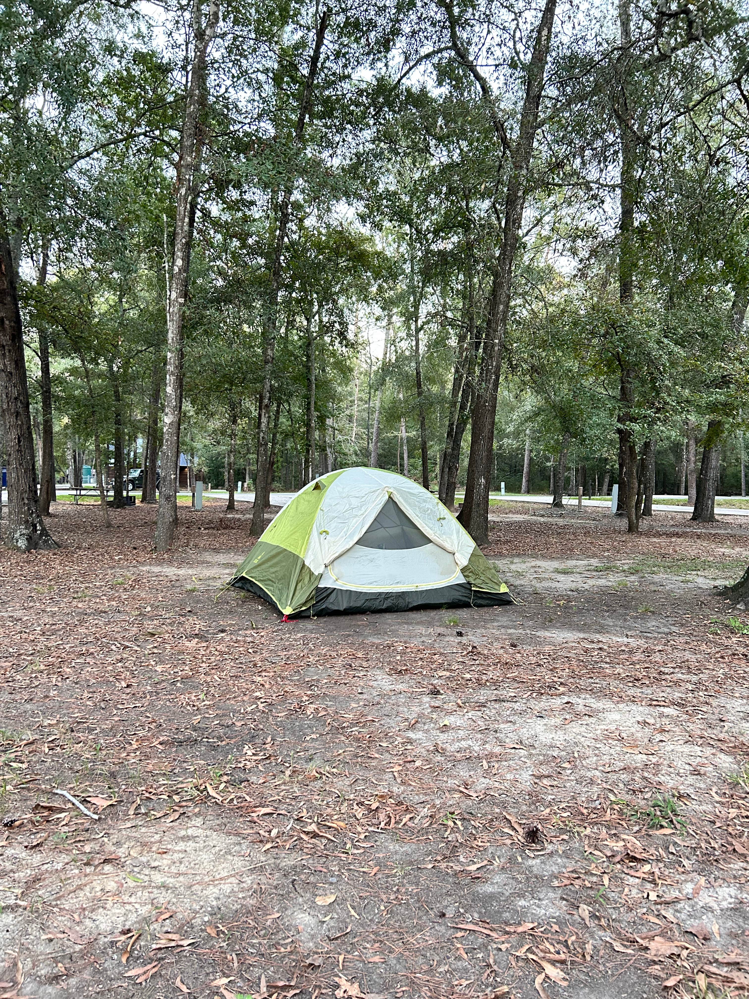 Miranda W.'s photo at Lake Livingston State Park Campground near Coldspring, TX