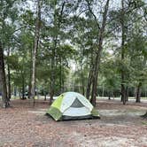 Review photo of Lake Livingston State Park Campground by Miranda W., September 30, 2024