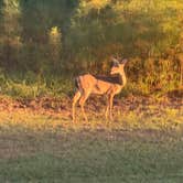 Review photo of Lake Livingston State Park Campground by Jim P., December 8, 2024