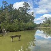 Review photo of Lake Livingston State Park Campground by Jim P., December 8, 2024