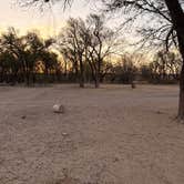 Review photo of Lake McClellan Campground by Calvin C., March 29, 2026