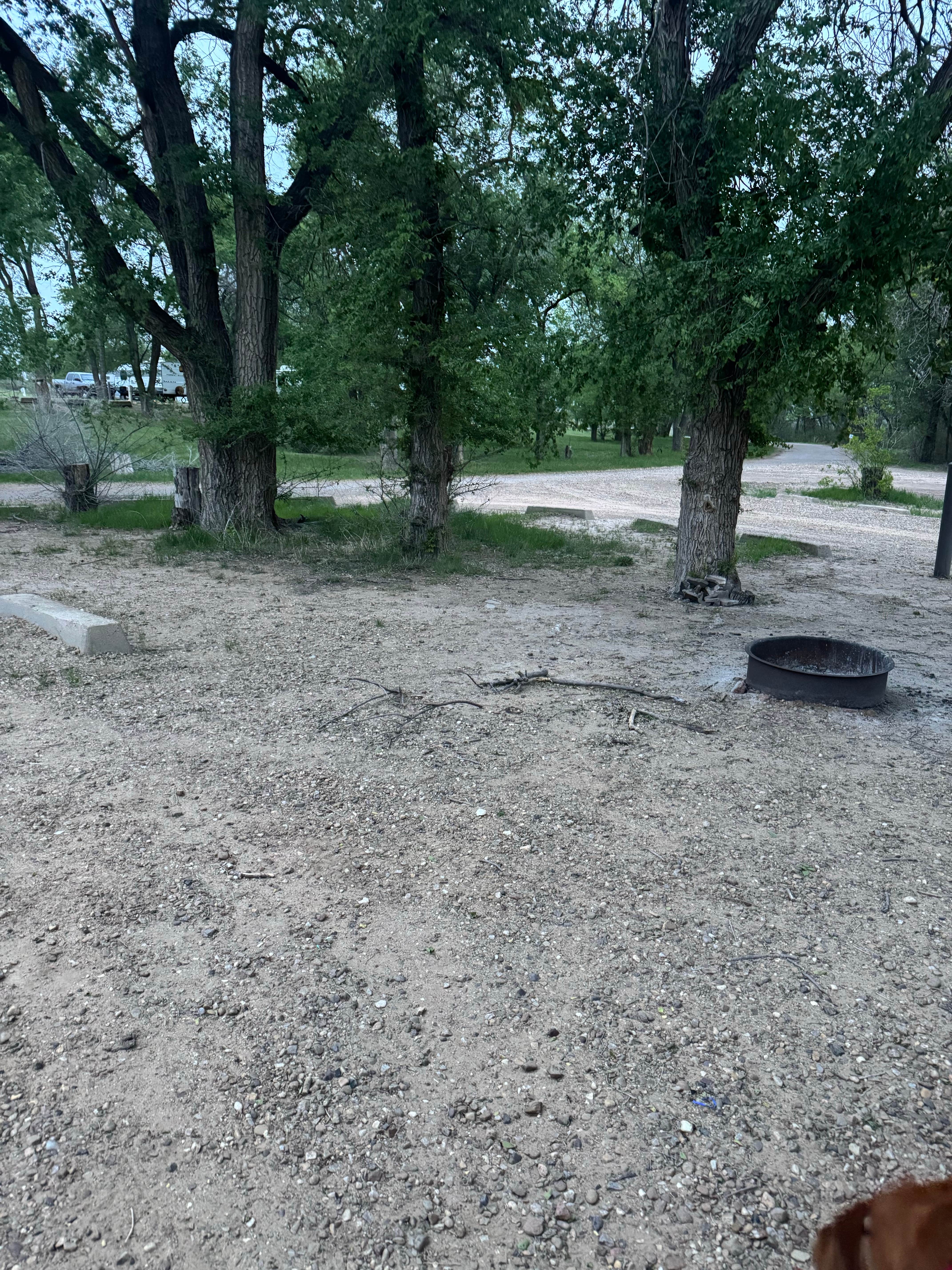 Kelsey S.'s photo of camping with pets at Lake McClellan Campground near McClellan Creek National Grassland