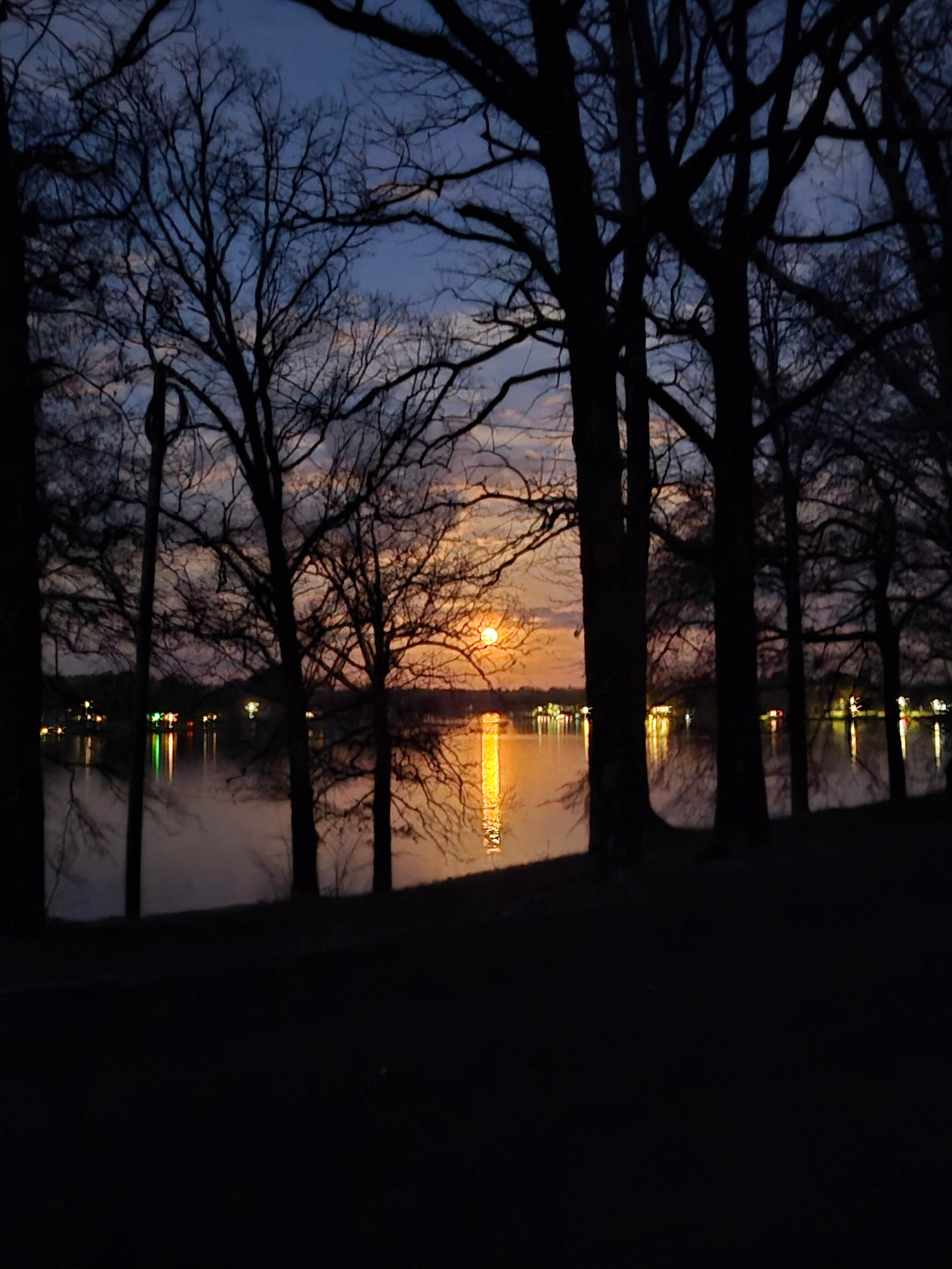 Will P.'s photo of a dispersed camping area at Lake Quitman West Dam near Canton, TX
