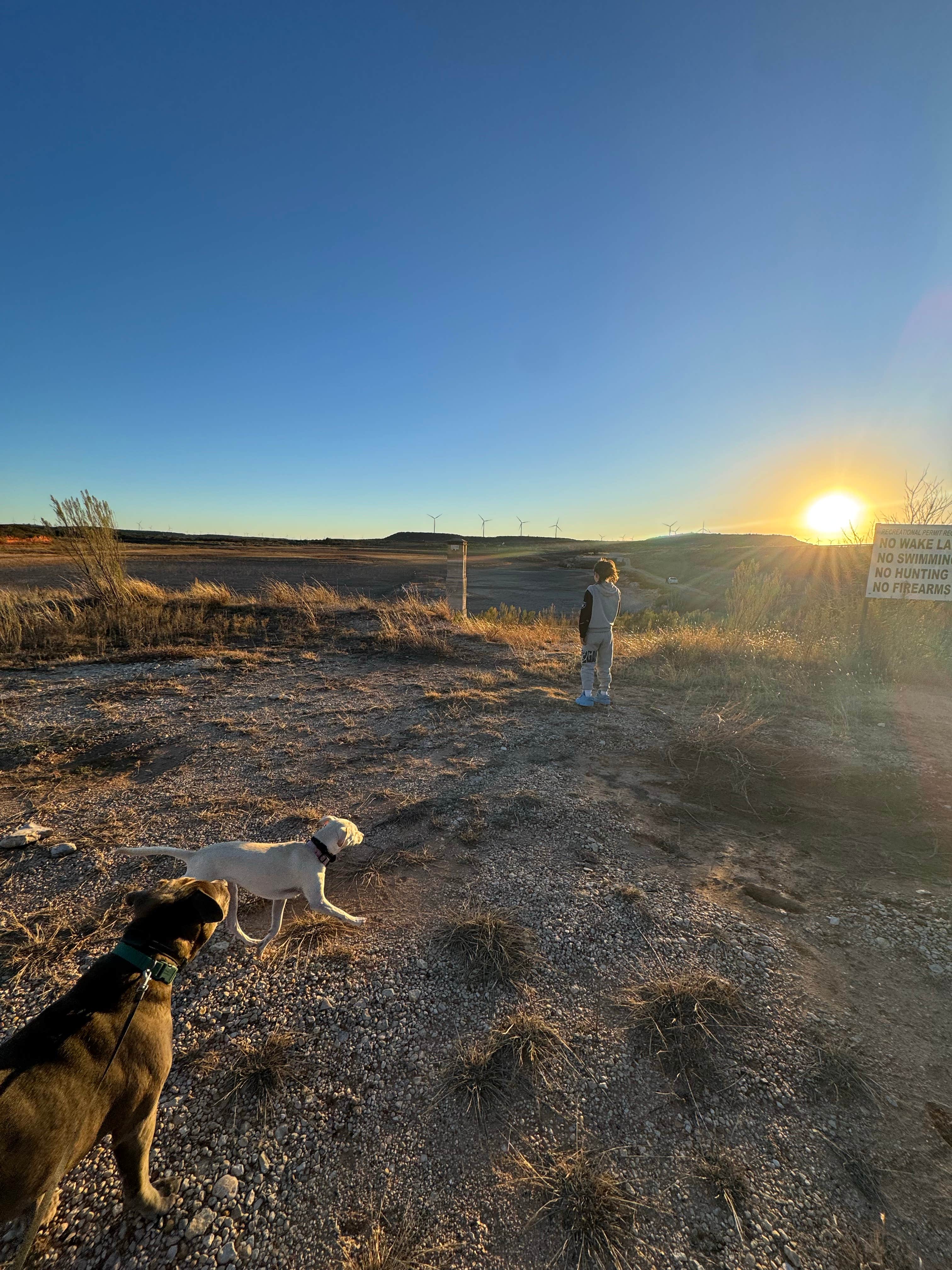 Camper-submitted photo at Lake Trammell Park near Colorado City, TX
