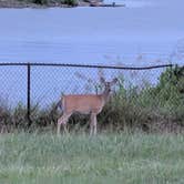 Review photo of Lofers Bend West by Robin S., June 6, 2026