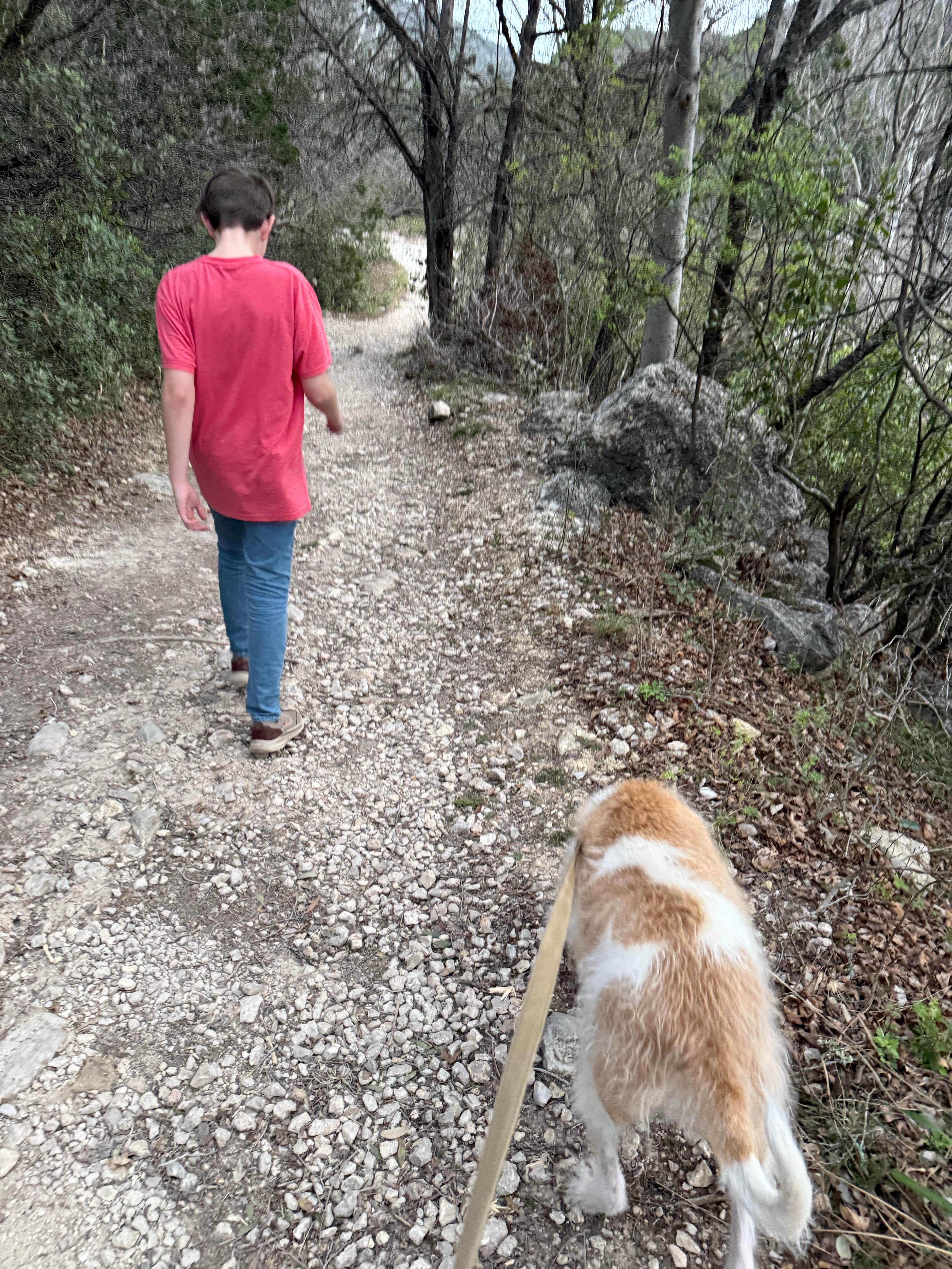Neil T.'s photo of camping with pets at Lost Maples State Natural Area Campground near Concan, TX
