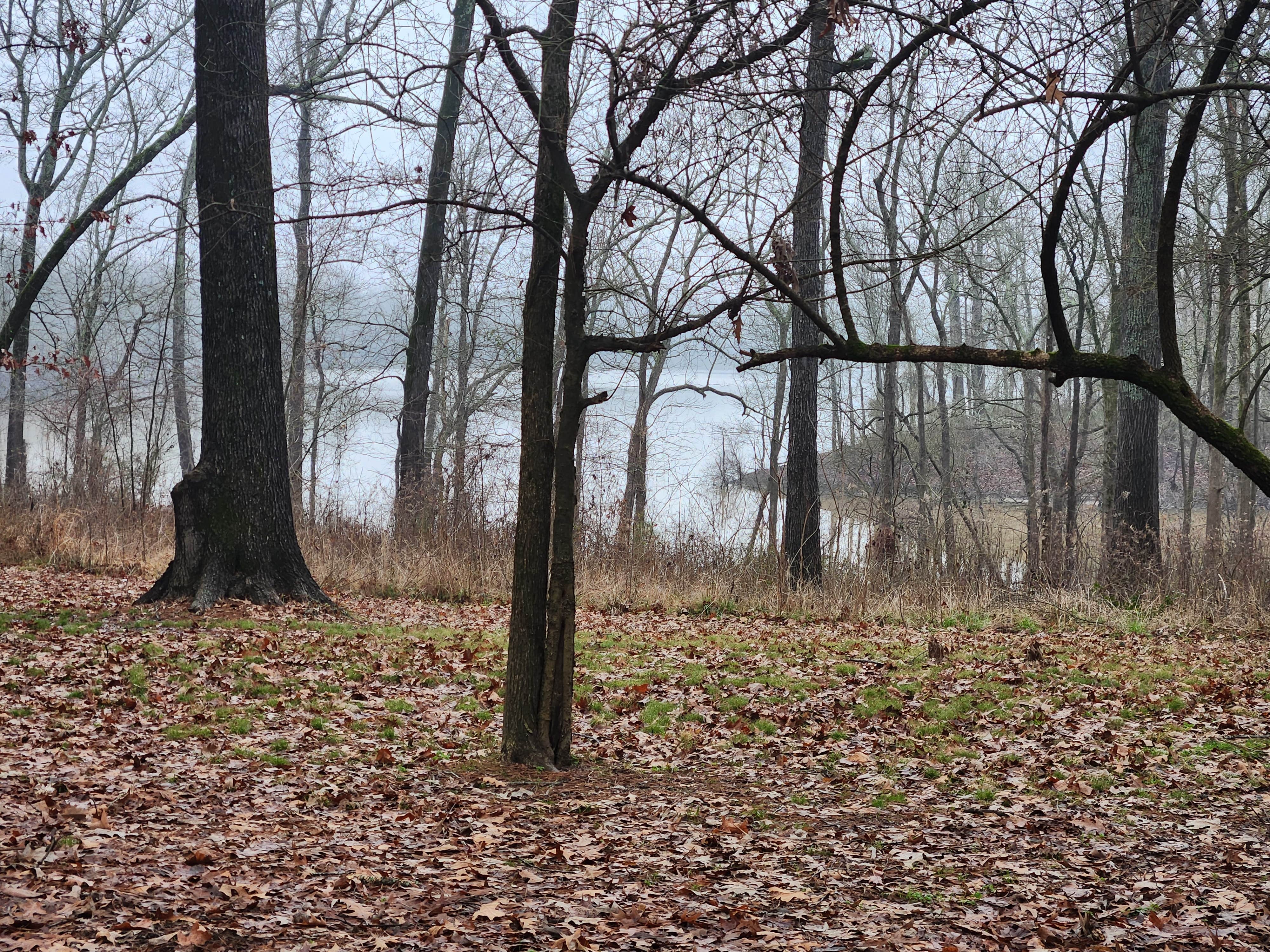 Camper-submitted photo at Malden Lake Campground near New Boston, TX