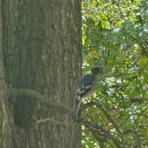 Review photo of Martin Creek Lake State Park Campground by Amanda J., September 25, 2026