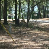 Review photo of Martin Creek Lake State Park Campground by Amanda J., September 25, 2026
