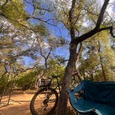 Review photo of McKinney Falls State Park Campground by Rodger Terence E., March 31, 2026