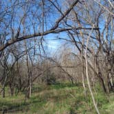 Review photo of McKinney Falls State Park Campground by Red S., March 7, 2025