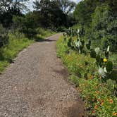 Review photo of McKinney Falls State Park Campground by Sami G., April 24, 2026