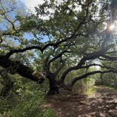 Review photo of McKinney Falls State Park Campground by Sami G., April 24, 2026