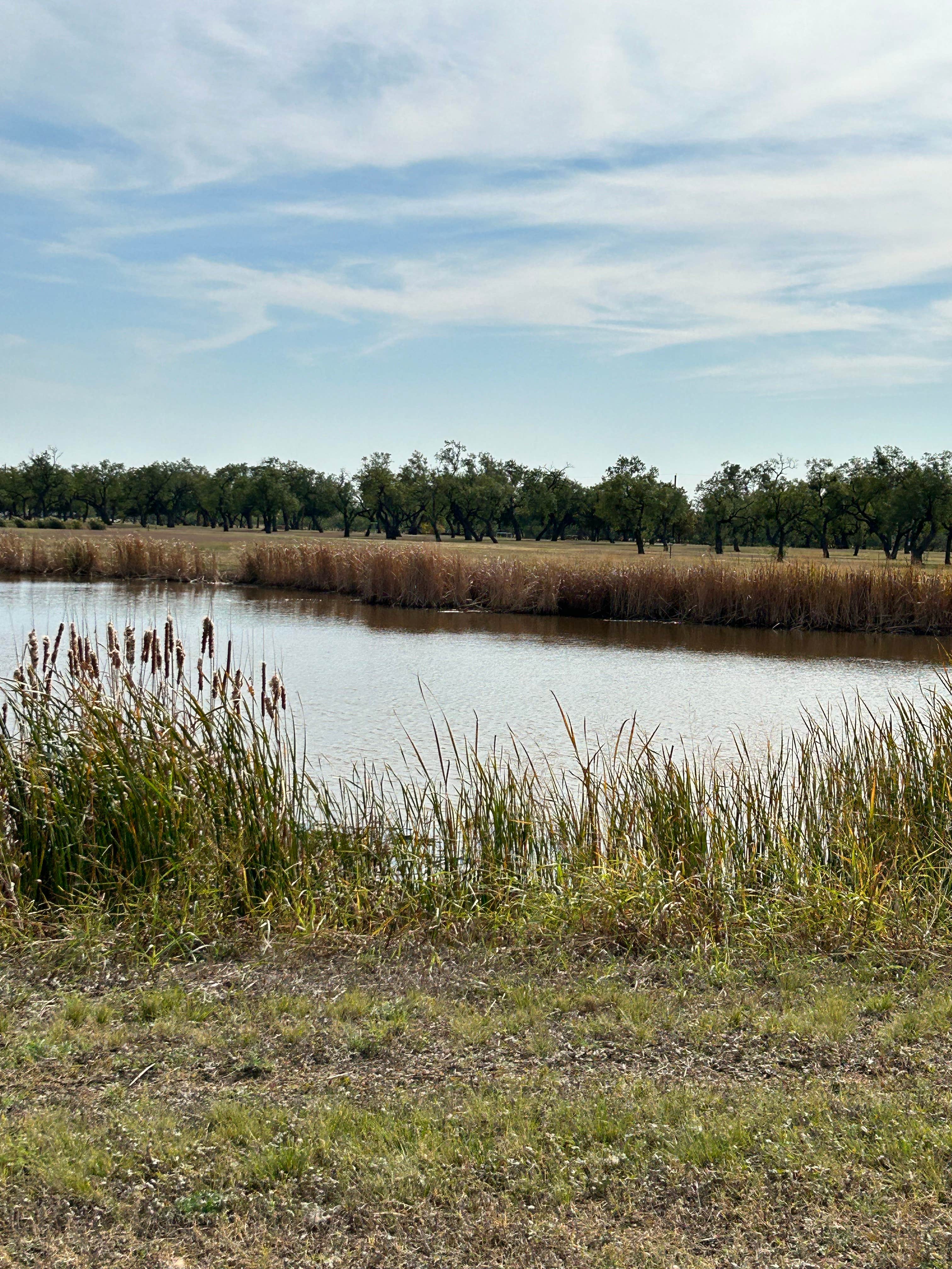 Camper-submitted photo at Middle Concho Park near Eldorado, TX