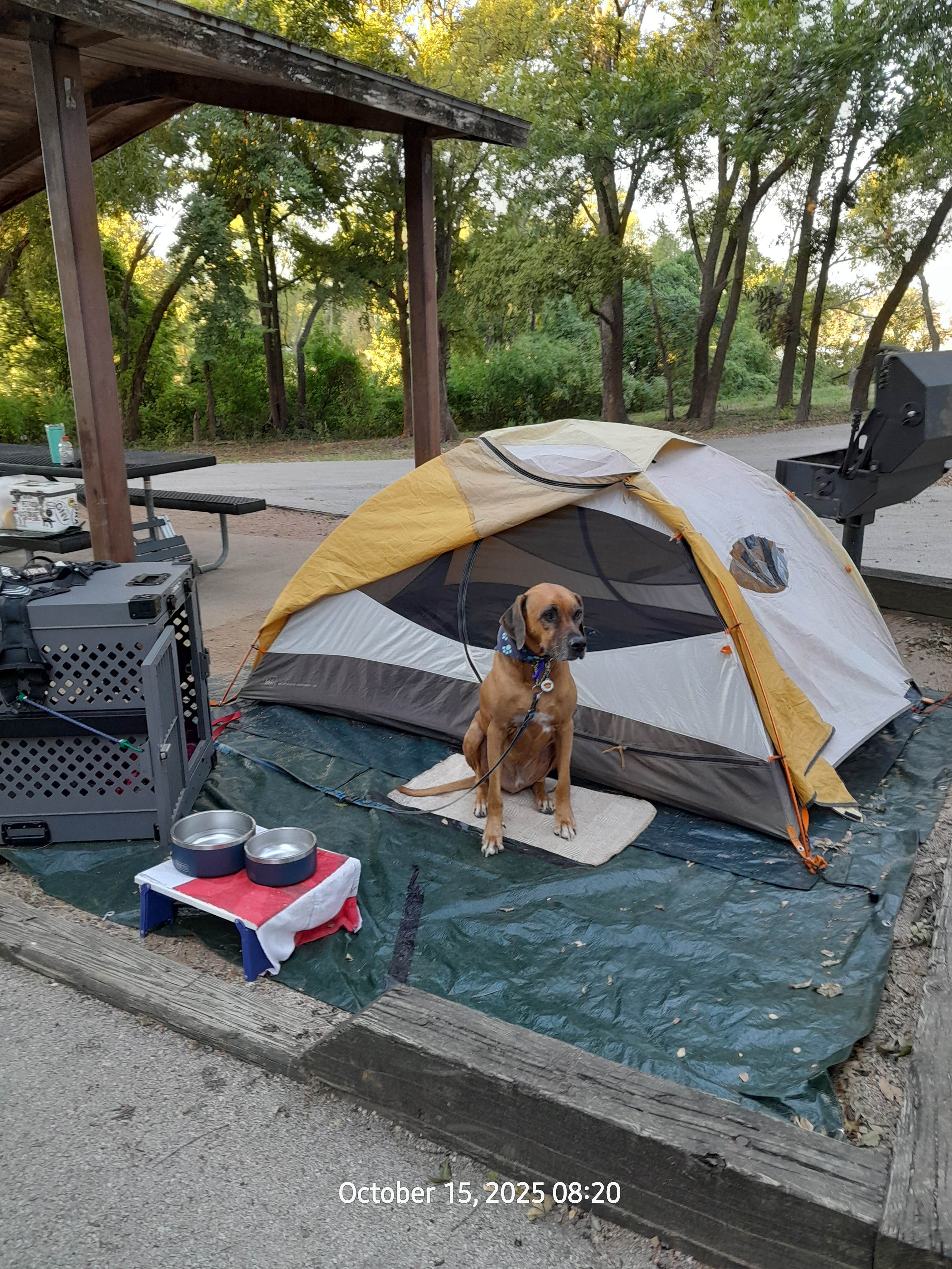 Nancy K.'s photo at Midway near Marlin, TX